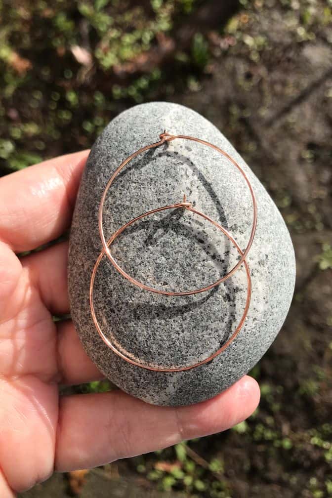 Hoop Earrings freeshipping - Two Blooms & Co