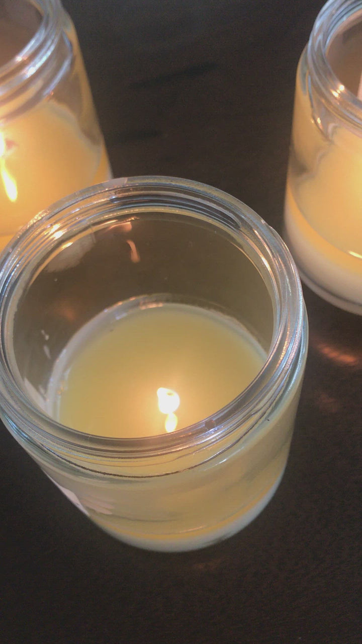 Wilderness 8 oz soy candle Victoria BC Canada