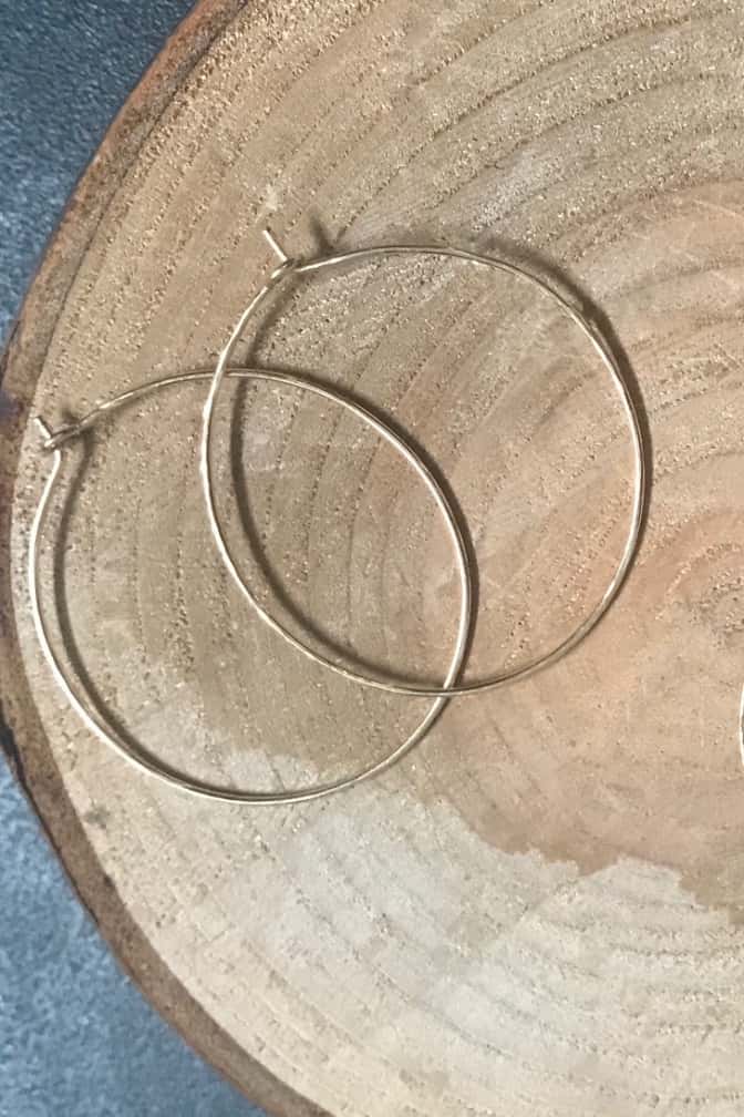 Hoop Earrings freeshipping - Two Blooms & Co