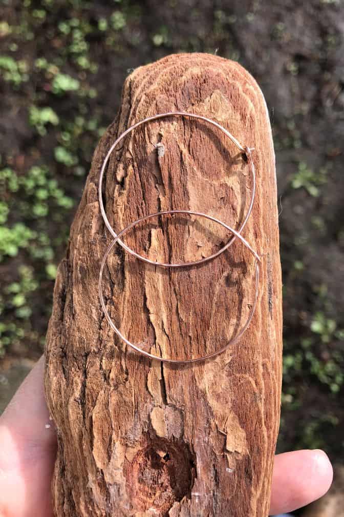 Hoop Earrings freeshipping - Two Blooms & Co