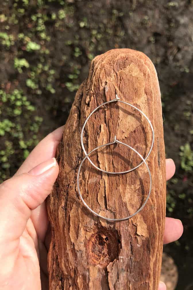 Hoop Earrings freeshipping - Two Blooms & Co