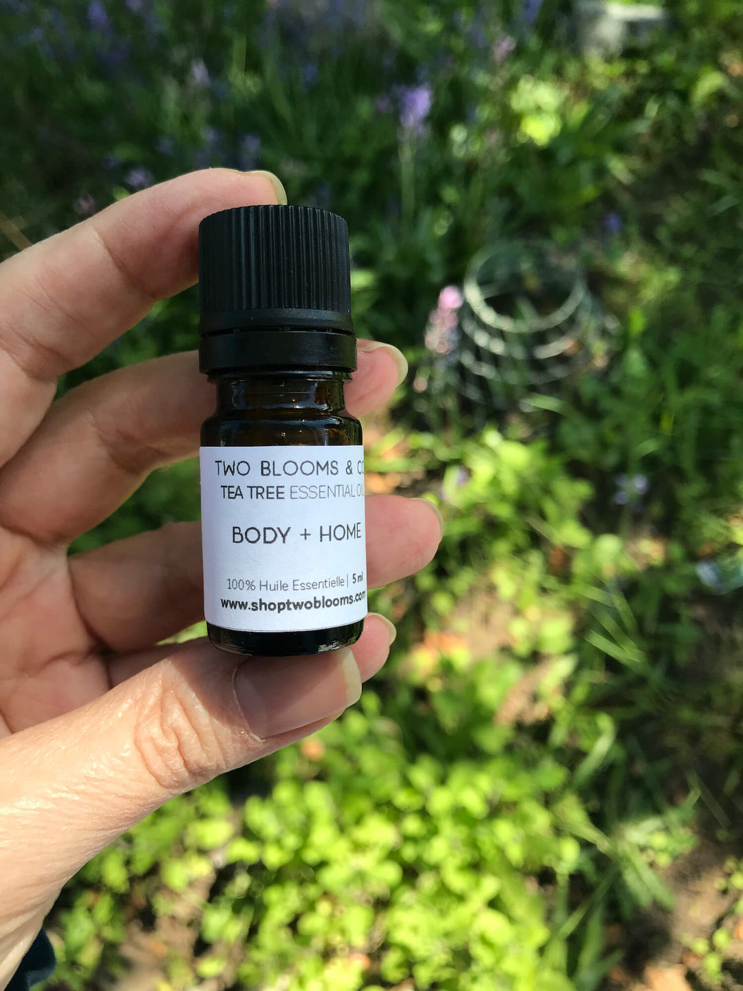 Tea Tree Essential Oil freeshipping - Two Blooms & Co