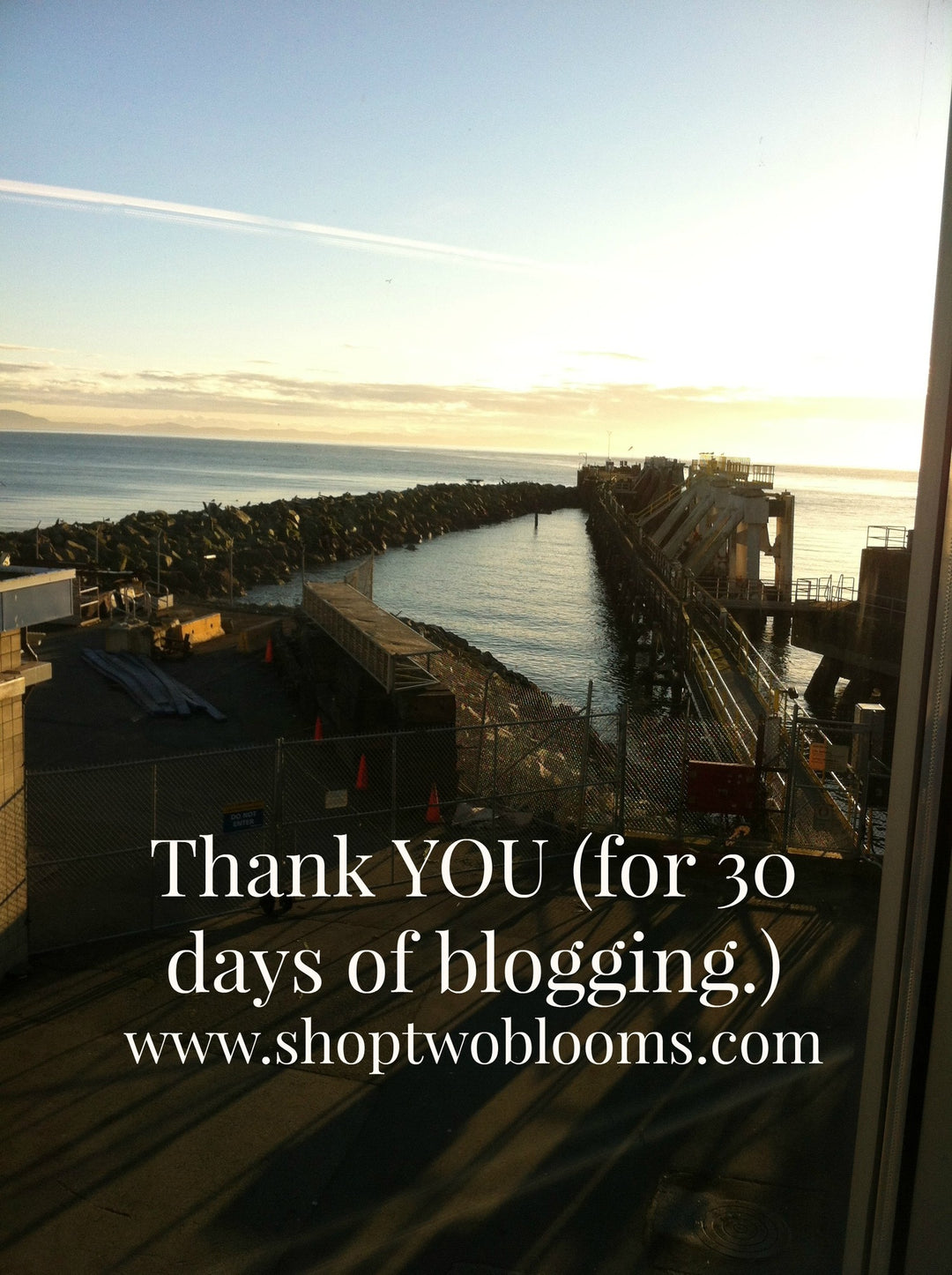 Thank you for 30 days of blogging